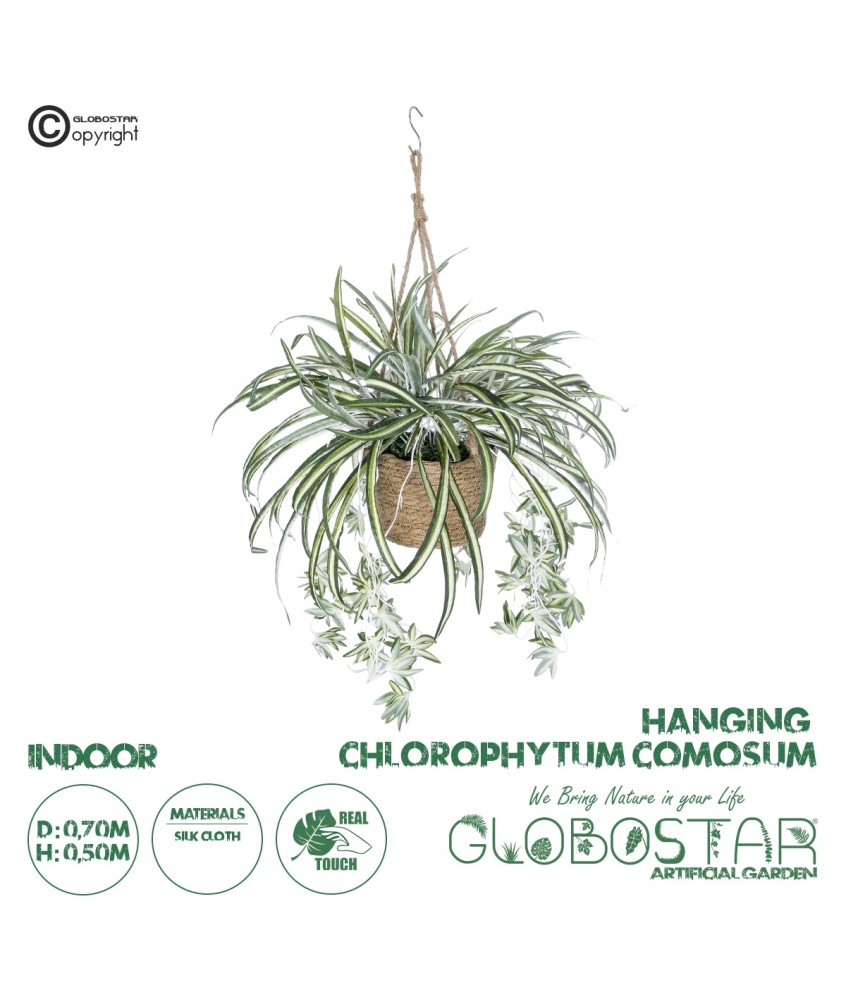 GloboStar® Artificial Garden CHLOROPHYTUM COMOSUM HANGING PLANT 20638 Τεχνητό Κρεμαστό Διακοσμητικό Χλωρόφυτο  Y50cm